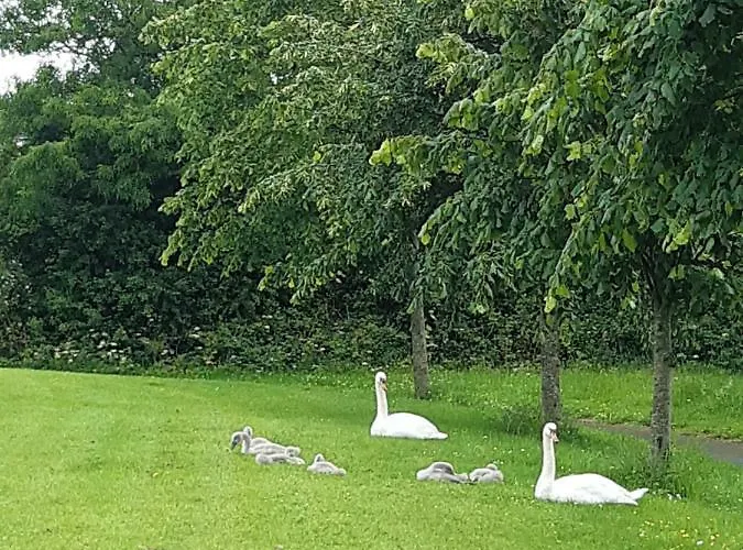 Happy Guest Δουβλίνο